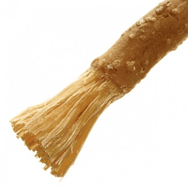 Miswak: The Natural Toothbrush Guide
