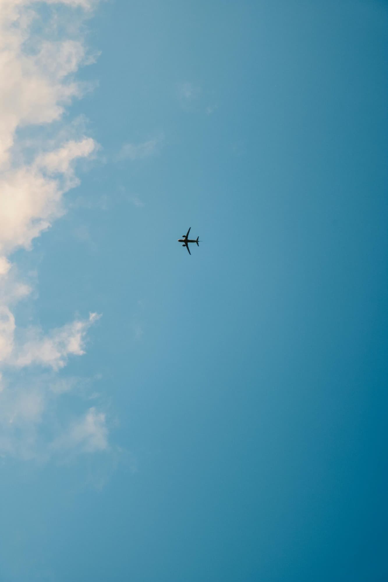 Master Your Biological Clock: How Daylight Boosts Your Energy